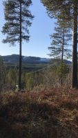 Funderingar efter över ett år av pandemi